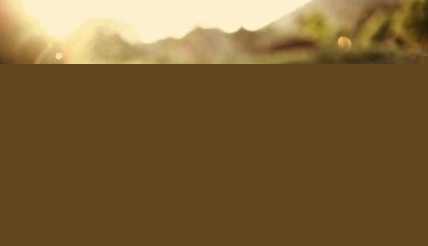 青少年人格障碍