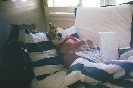 谁拿走了孩子的幸福