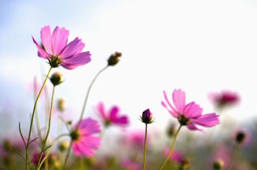 新学期如何适应新环境-高中生心理咨询