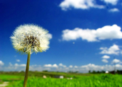 癔症好发人群的心理特点