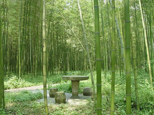 考试焦虑，家长也有责任！