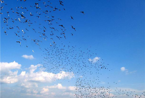 大学毕业生如何尽快适应职场！