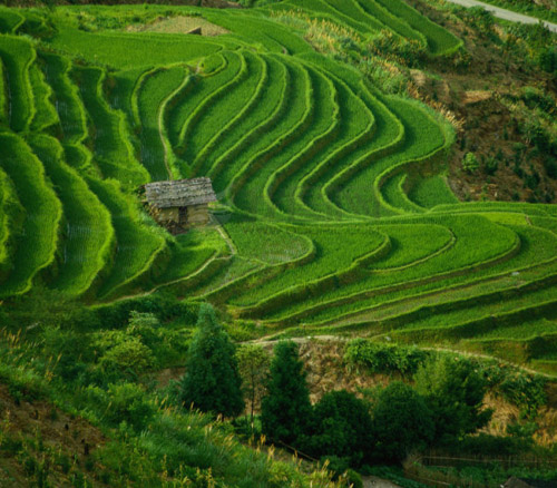 宅男宅女为什么容易抑郁?