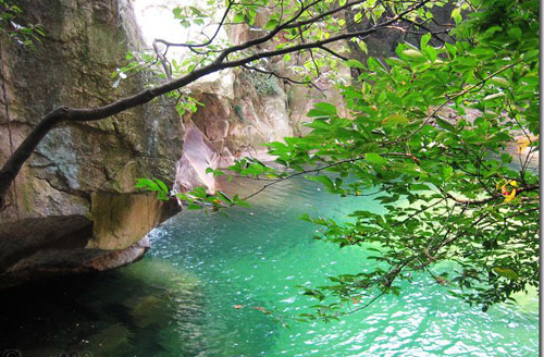 赤面恐惧症是什么？