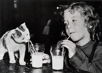 心理咨询|http://rui-ling.com/