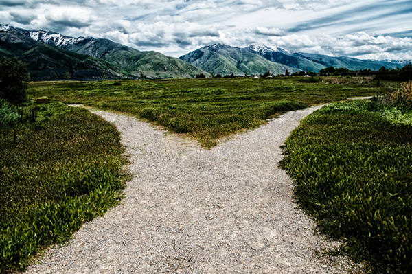 给选择恐惧症的你