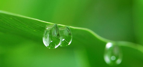 三中简单的催眠方法